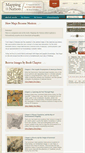 Mobile Screenshot of mappingthenation.com